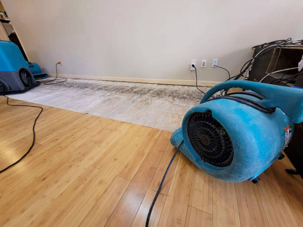 Professional Basement Flood Cleanup technician working in Fish Creek, WI
